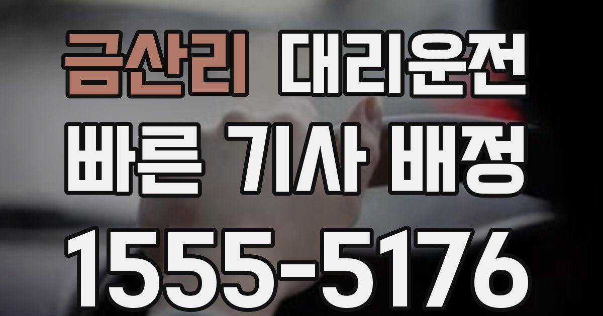 일일대리기사