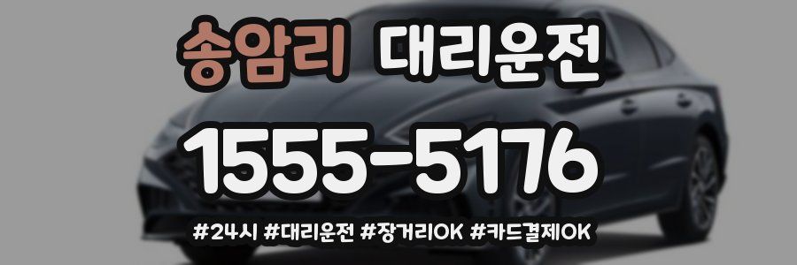 송암리 대리운전
