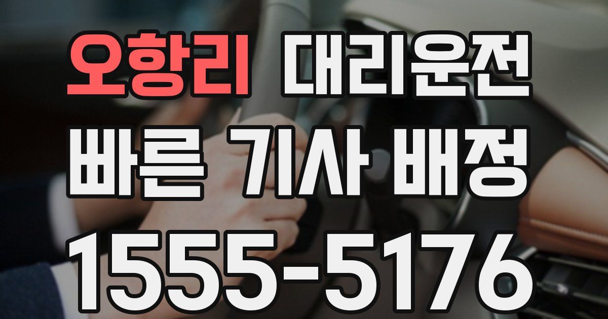 일일대리기사