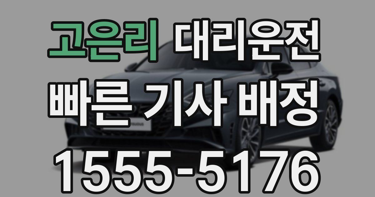 일일대리기사