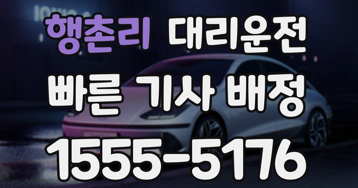 일일대리기사