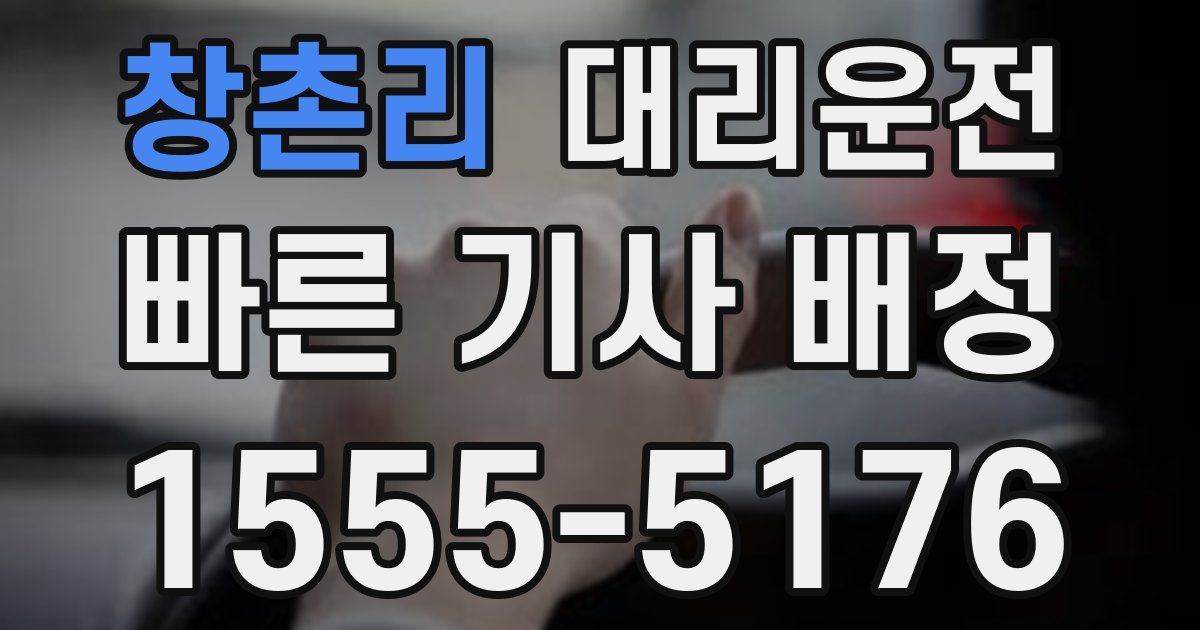 일일대리기사