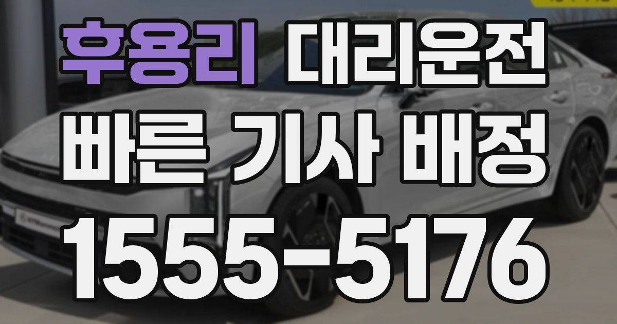 일일대리기사