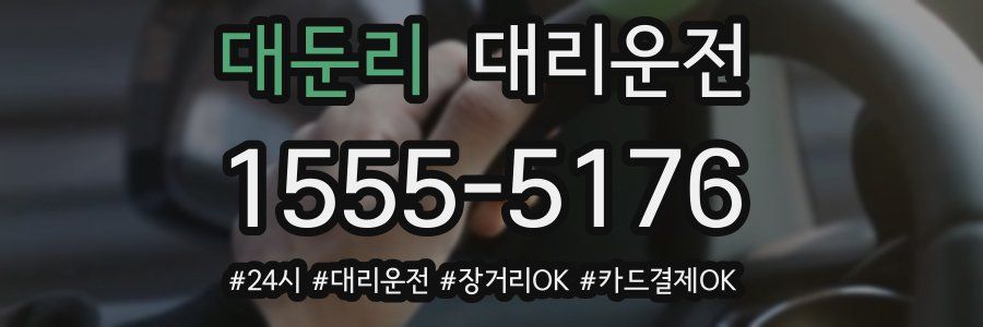 대둔리 대리운전