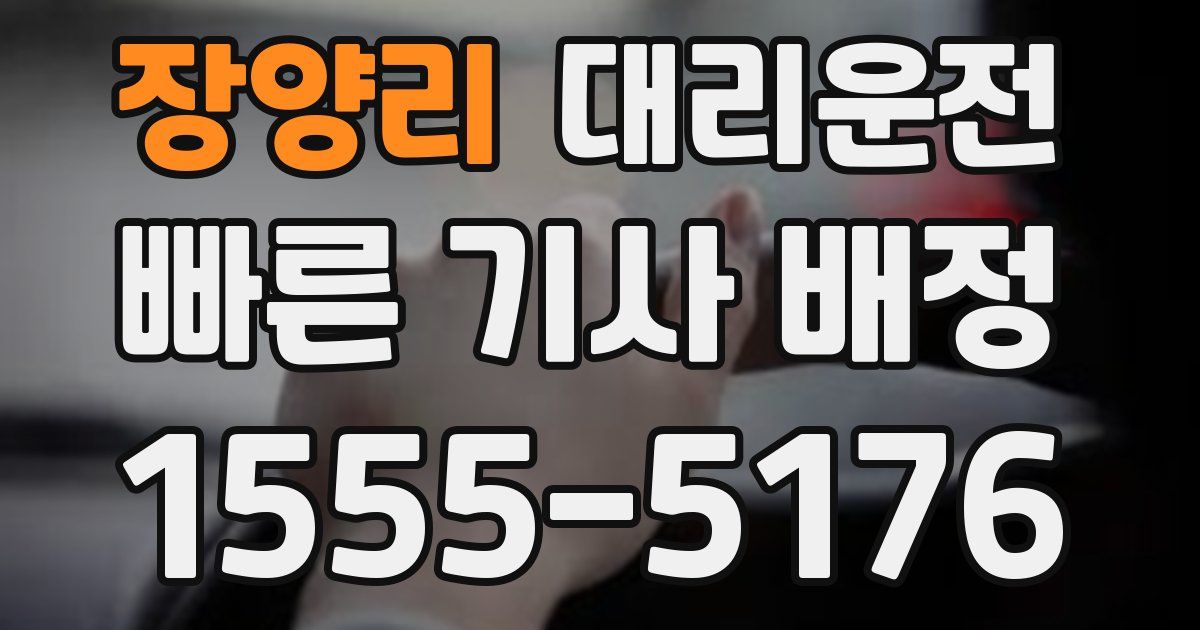 일일대리기사