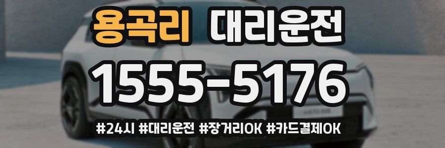 용곡리 대리운전