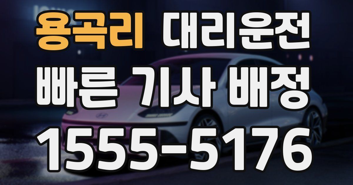일일대리기사