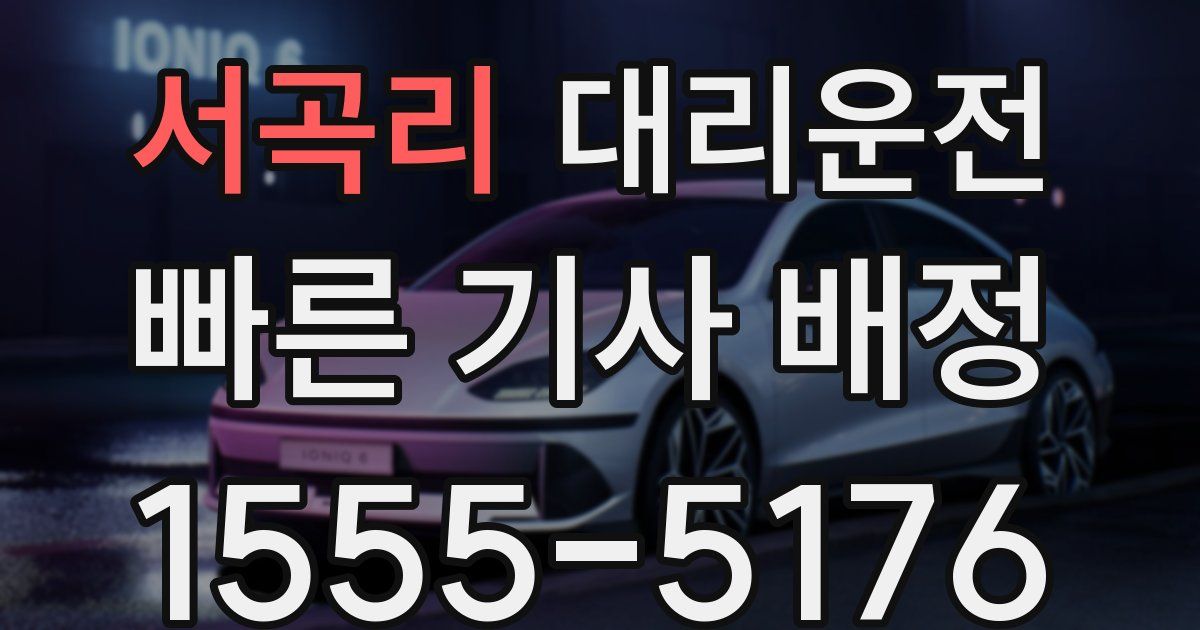 일일대리기사