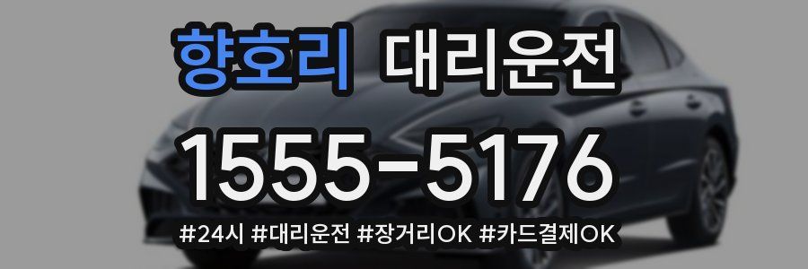 향호리 대리운전