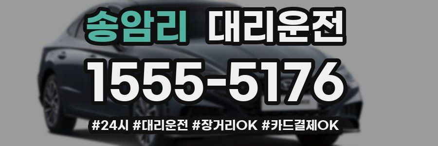 송암리 대리운전