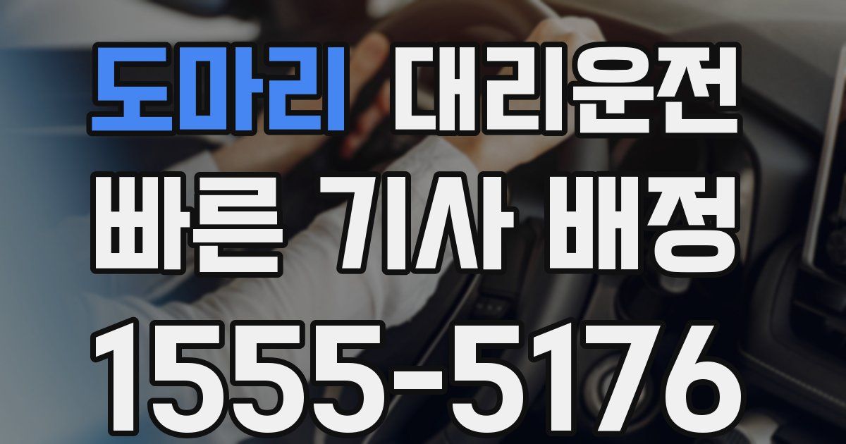일일대리기사