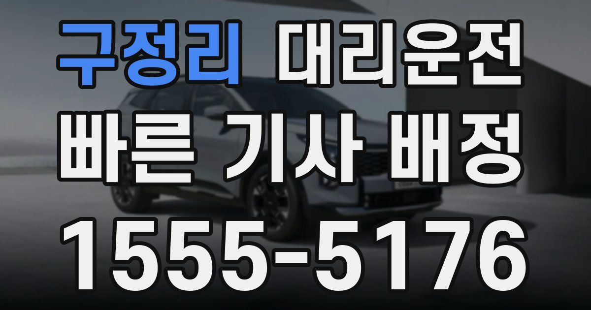 일일대리기사