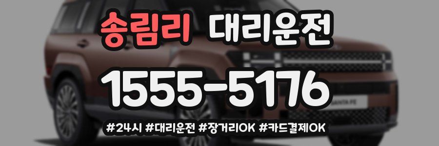 송림리 대리운전