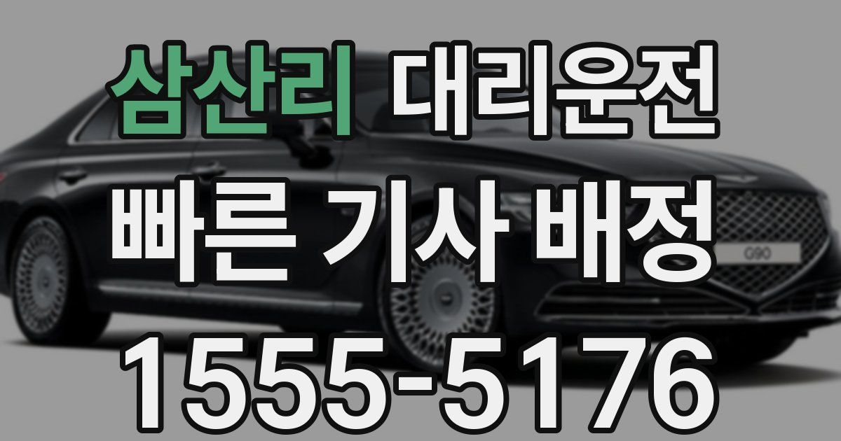 일일대리기사