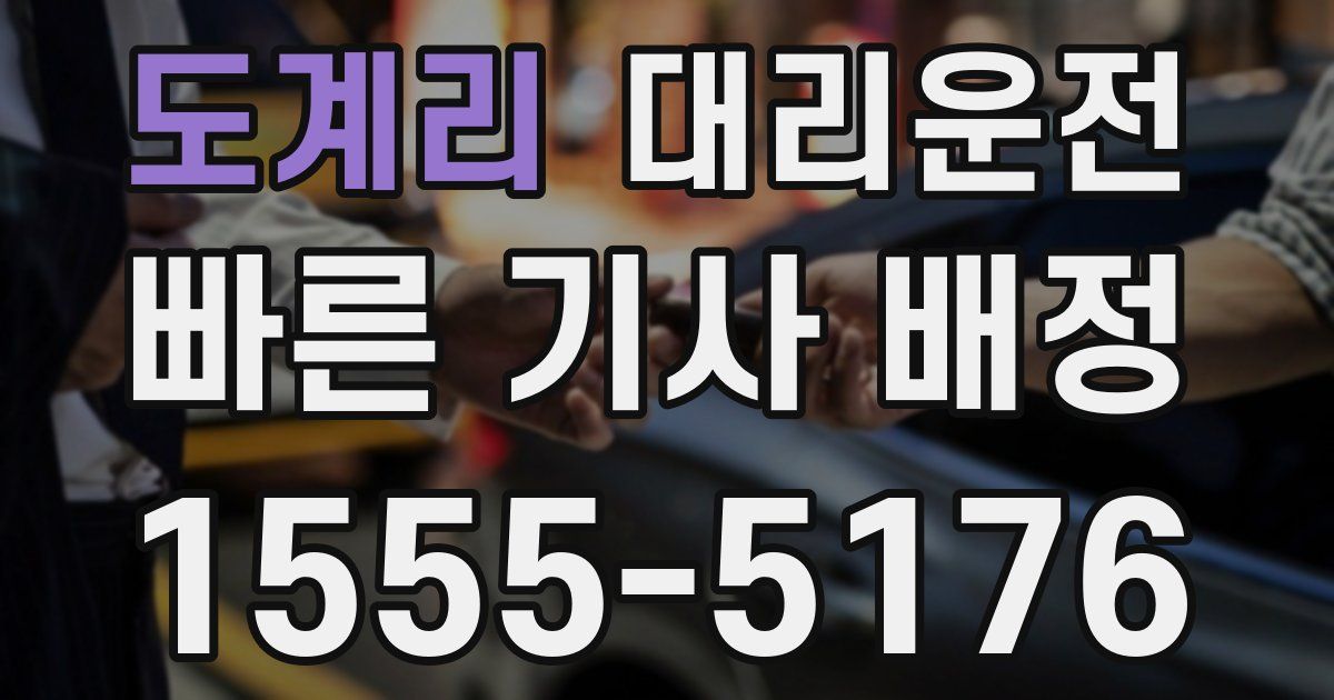 일일대리기사