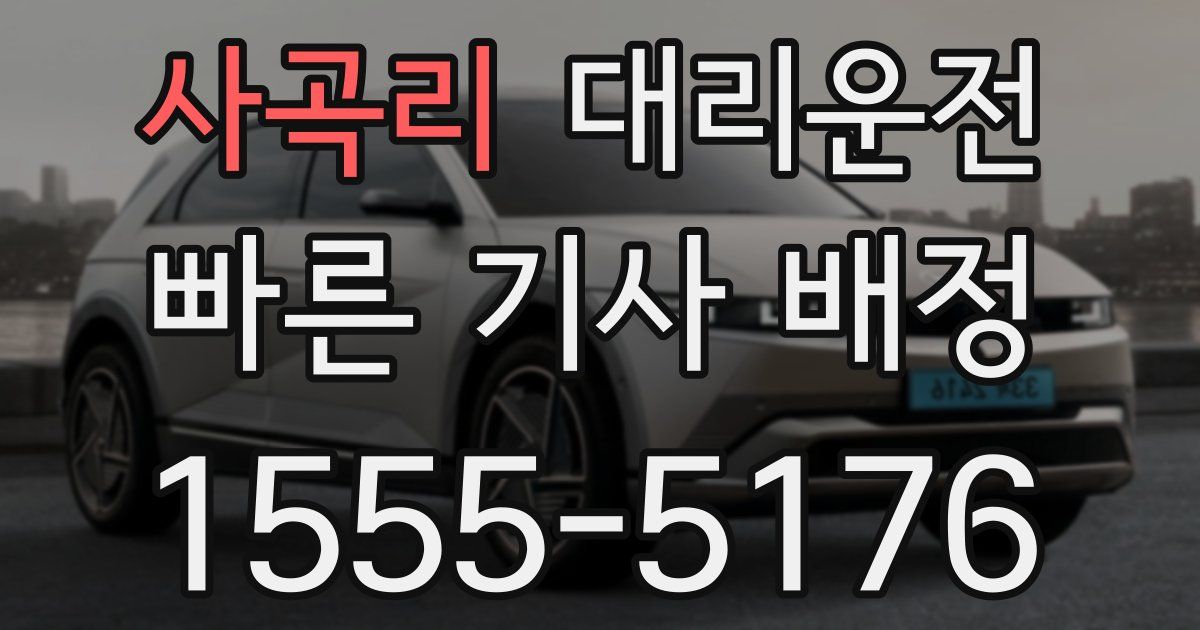 일일대리기사