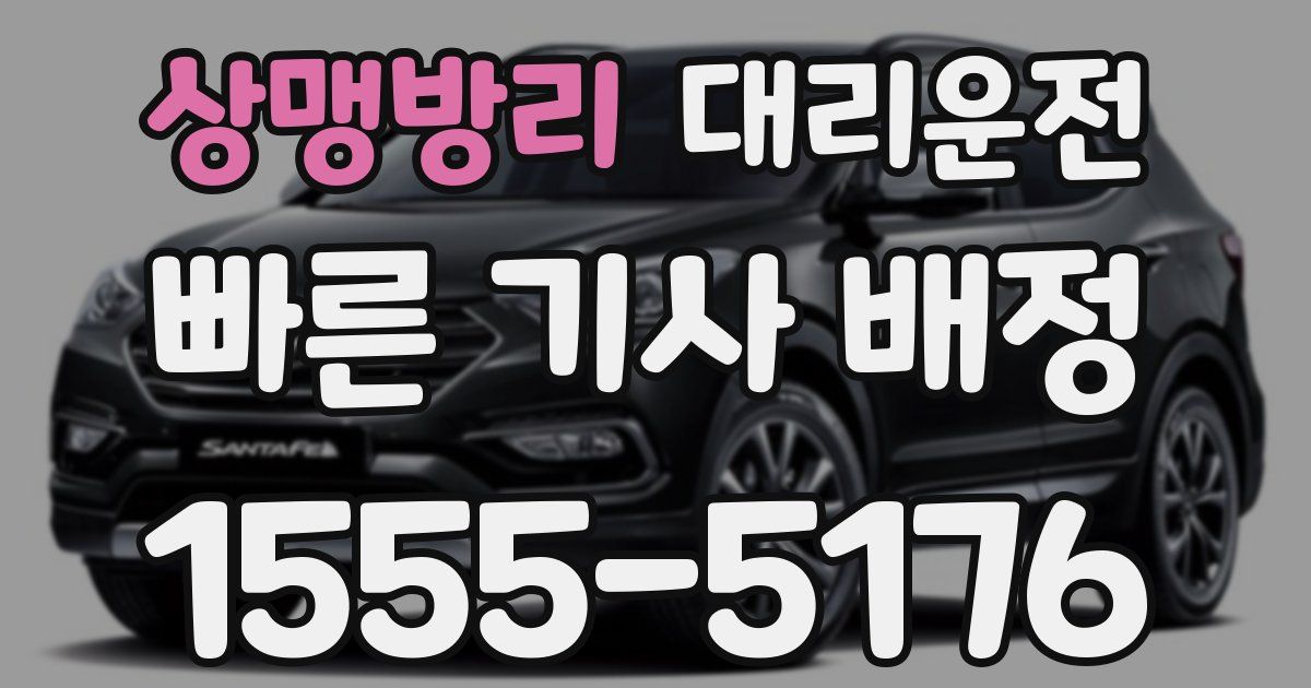 일일대리기사