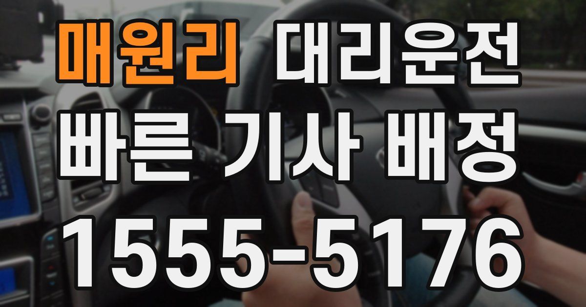 일일대리기사