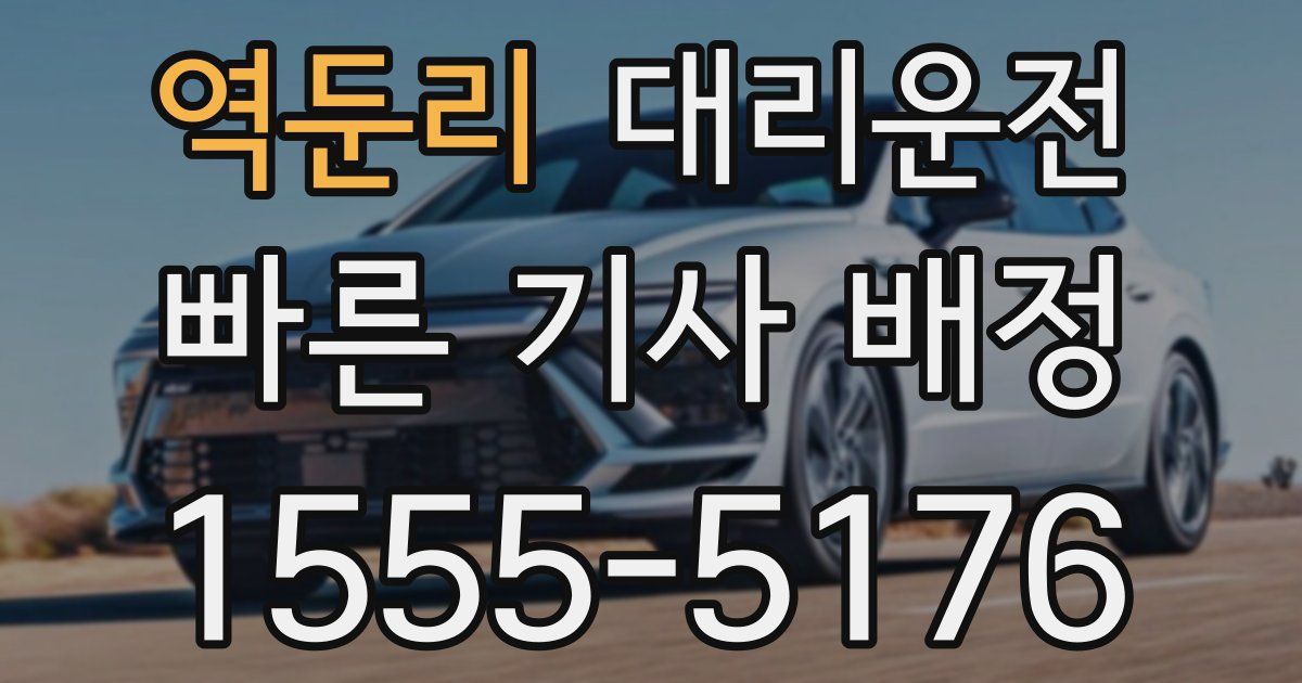 일일대리기사