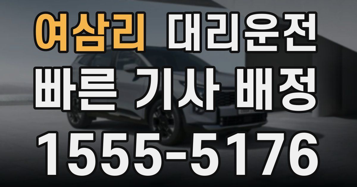 일일대리기사