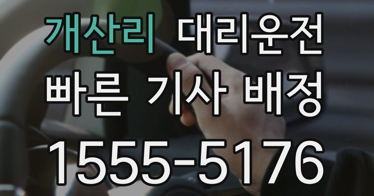 일일대리기사