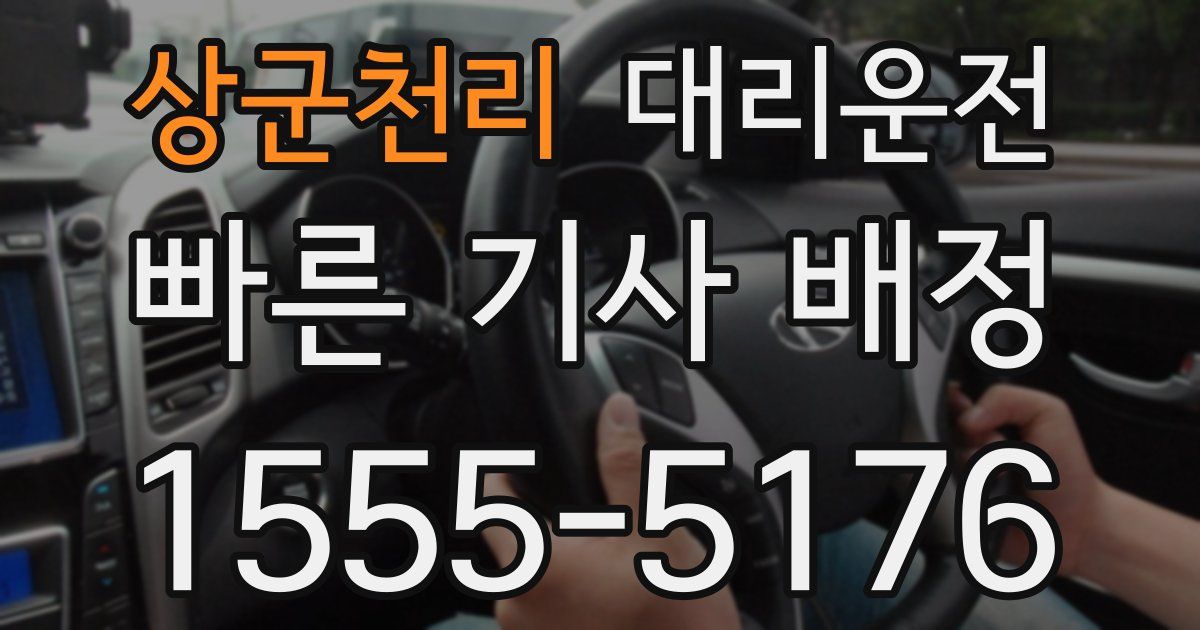 일일대리기사