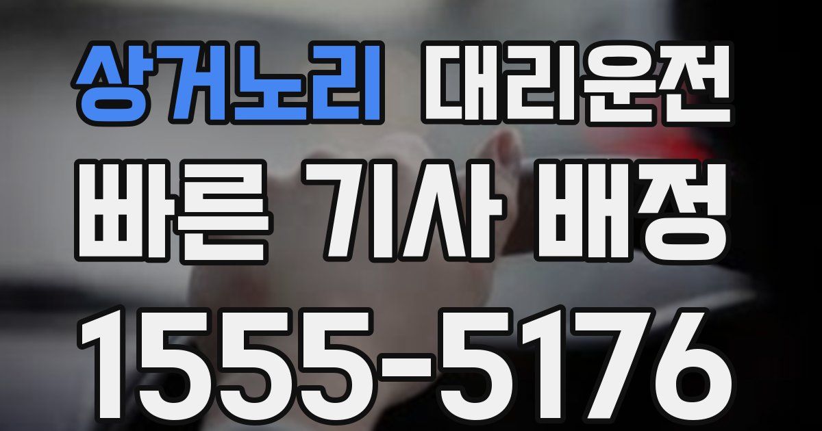 일일대리기사