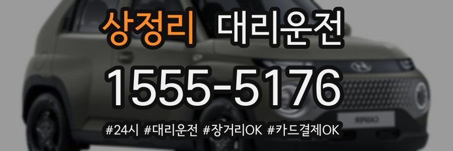 상정리 대리운전