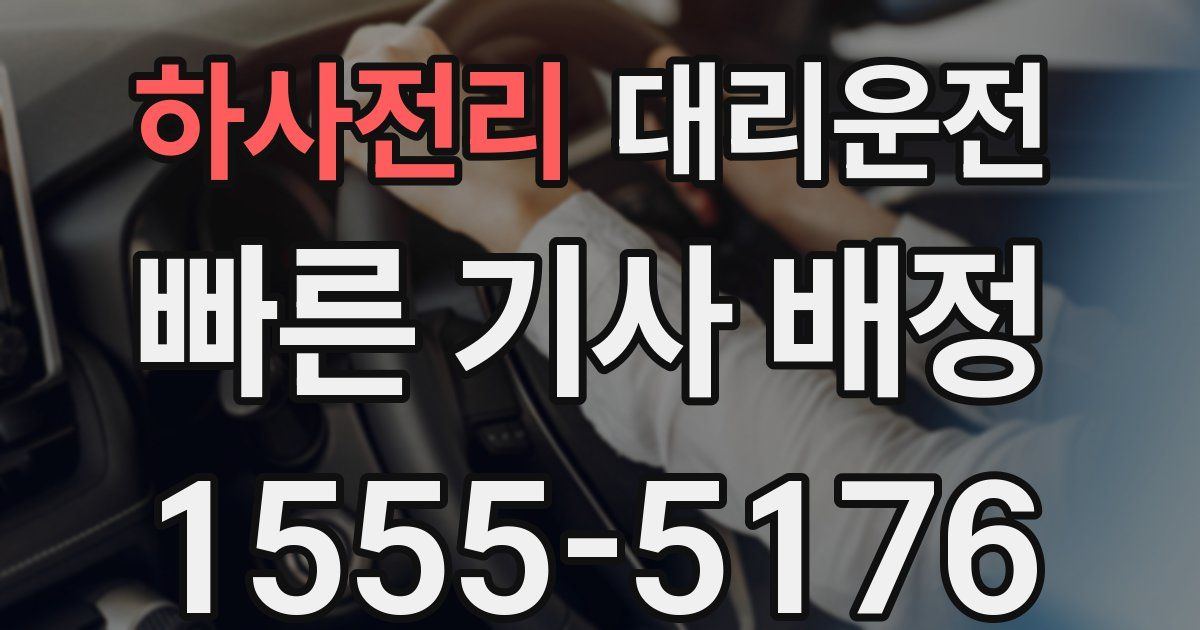 일일대리기사