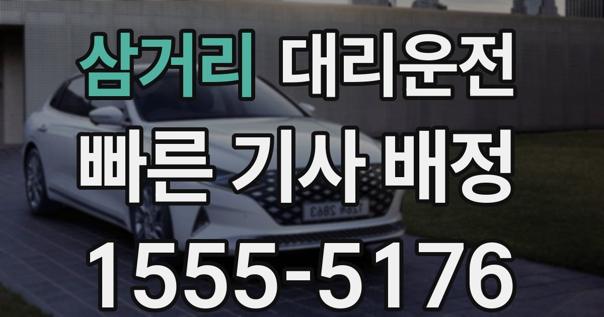 일일대리기사