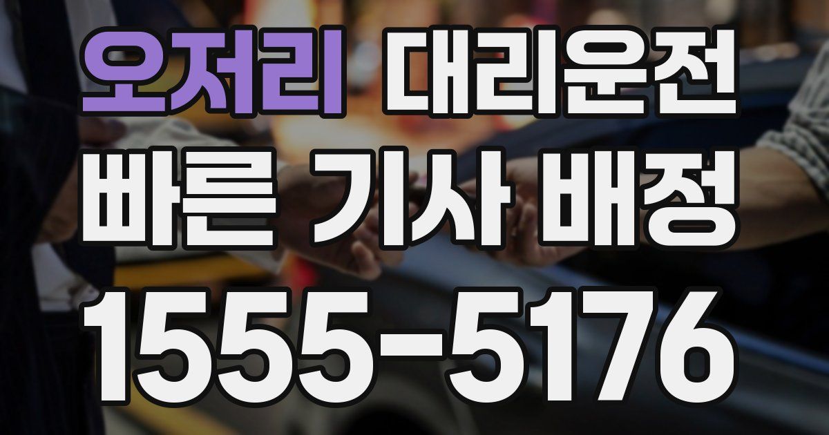 일일대리기사