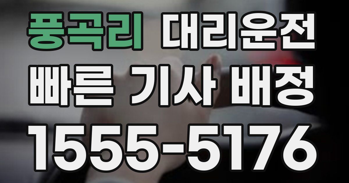 일일대리기사