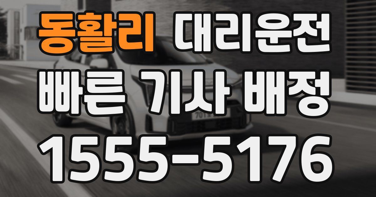 일일대리기사