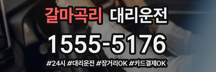 갈마곡리 대리운전