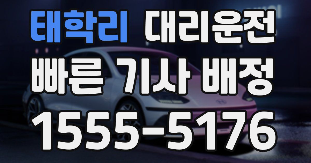 일일대리기사