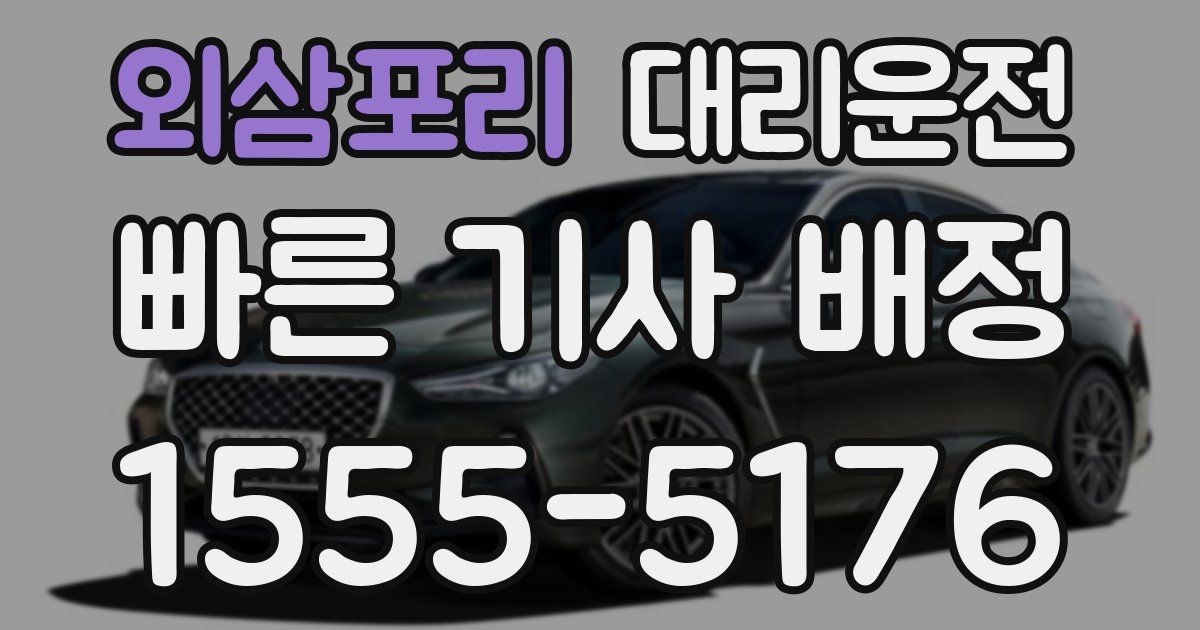 일일대리기사