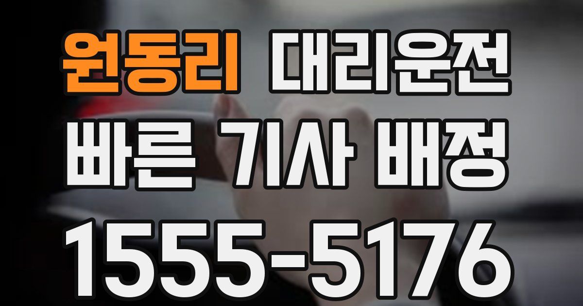 일일대리기사
