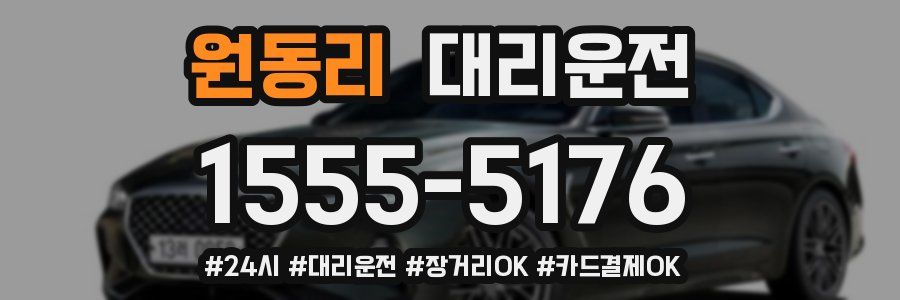 원동리 대리운전