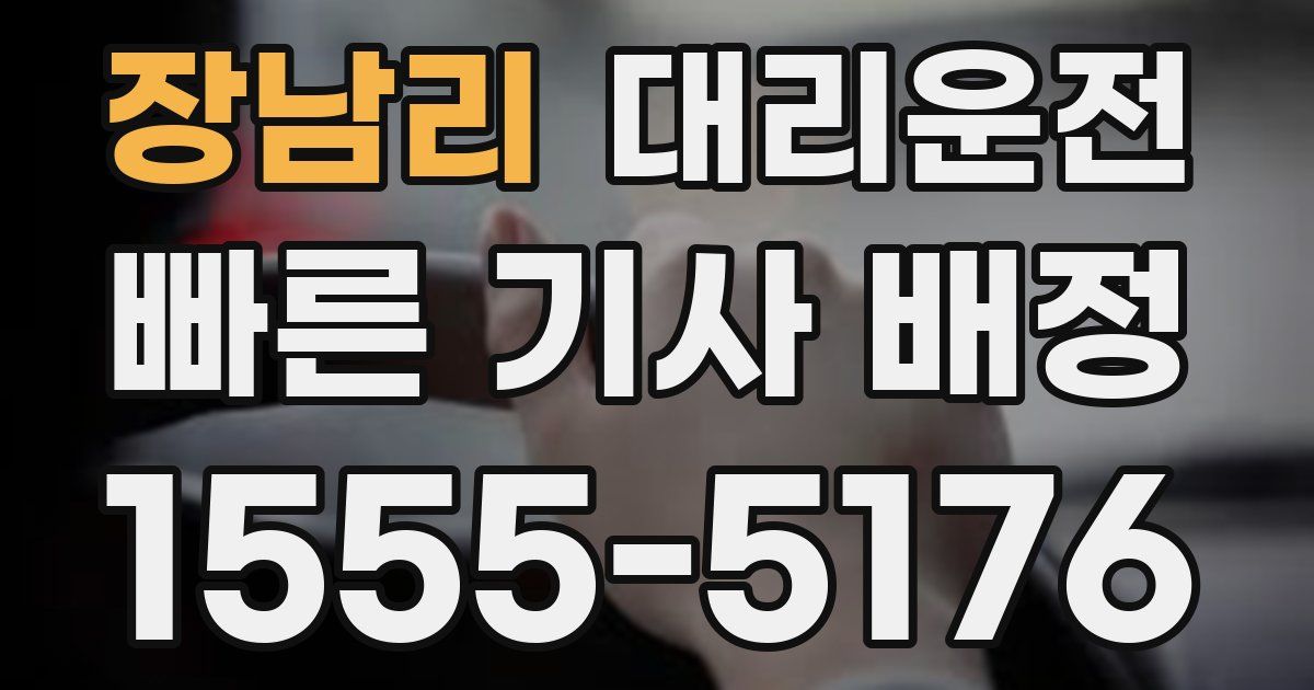일일대리기사