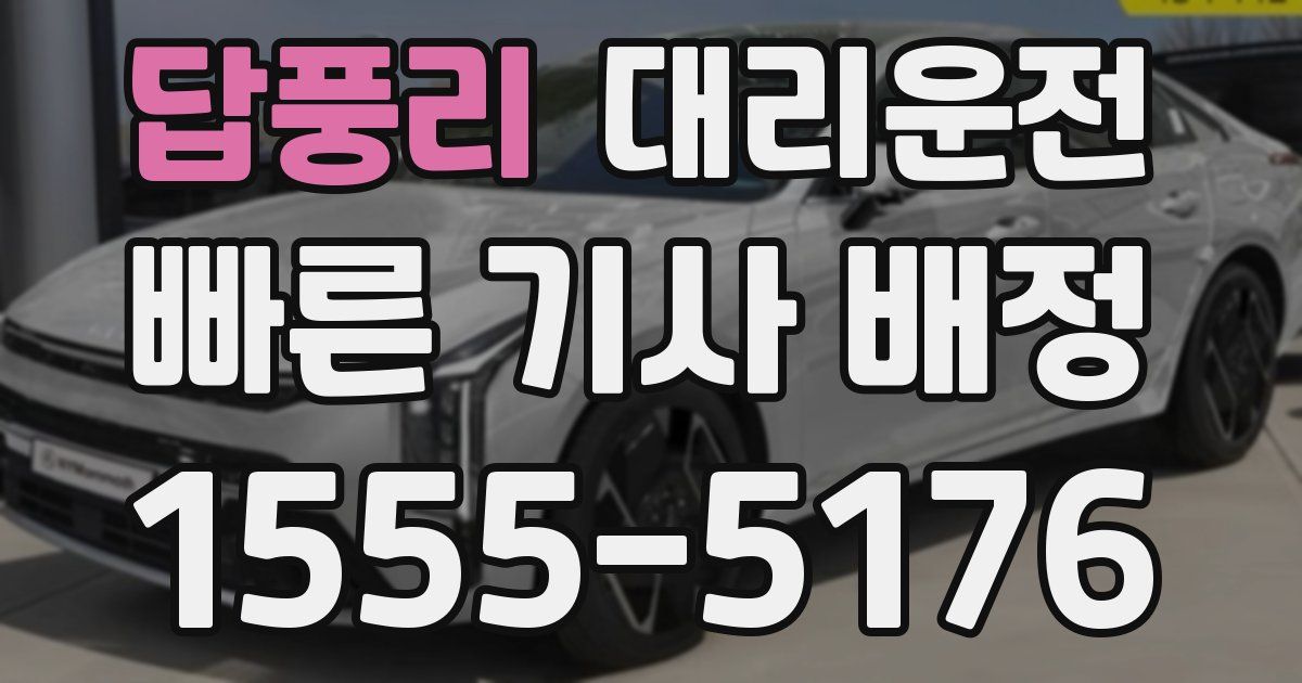 일일대리기사