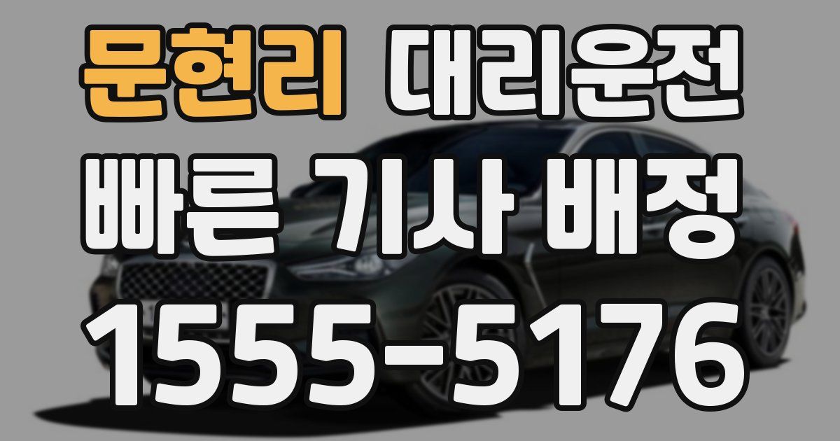 일일대리기사