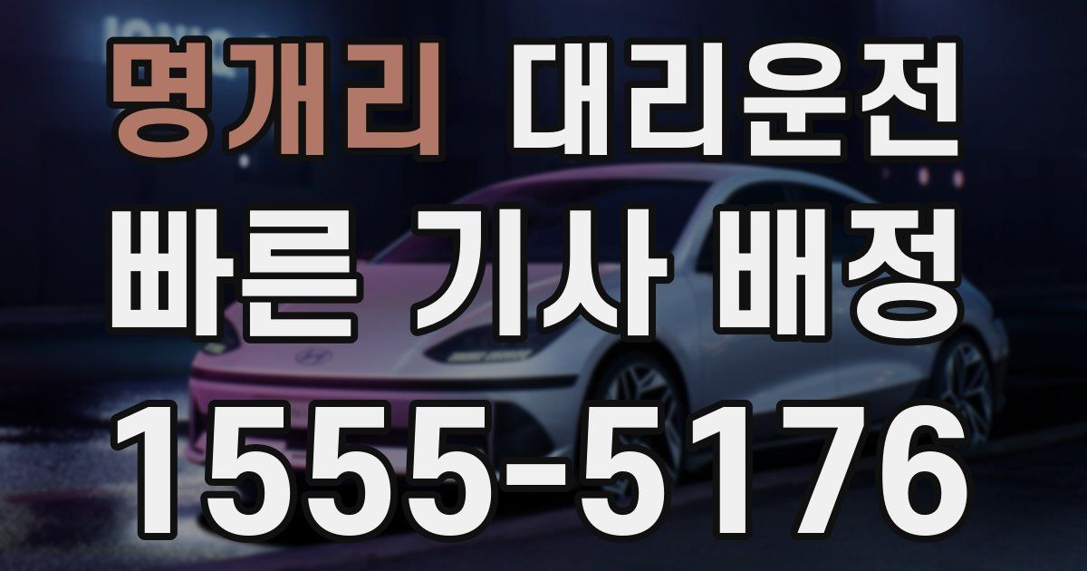 일일대리기사