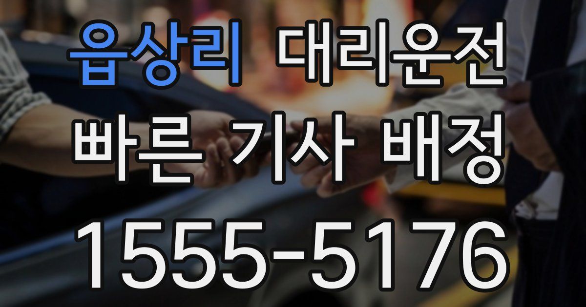 일일대리기사
