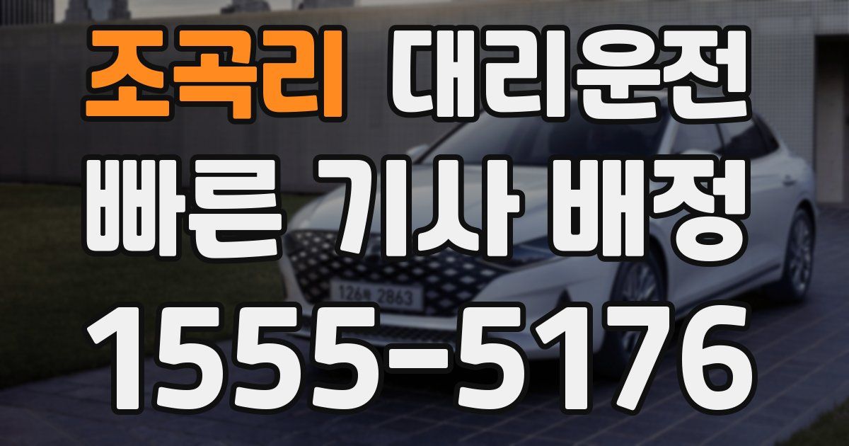 일일대리기사