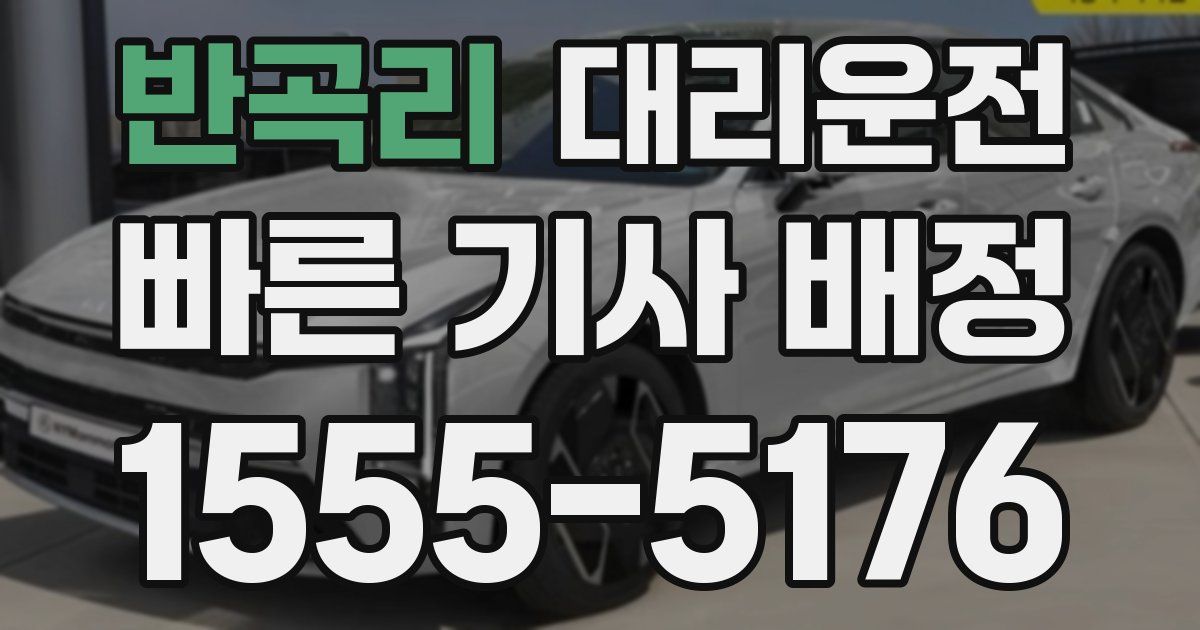 일일대리기사