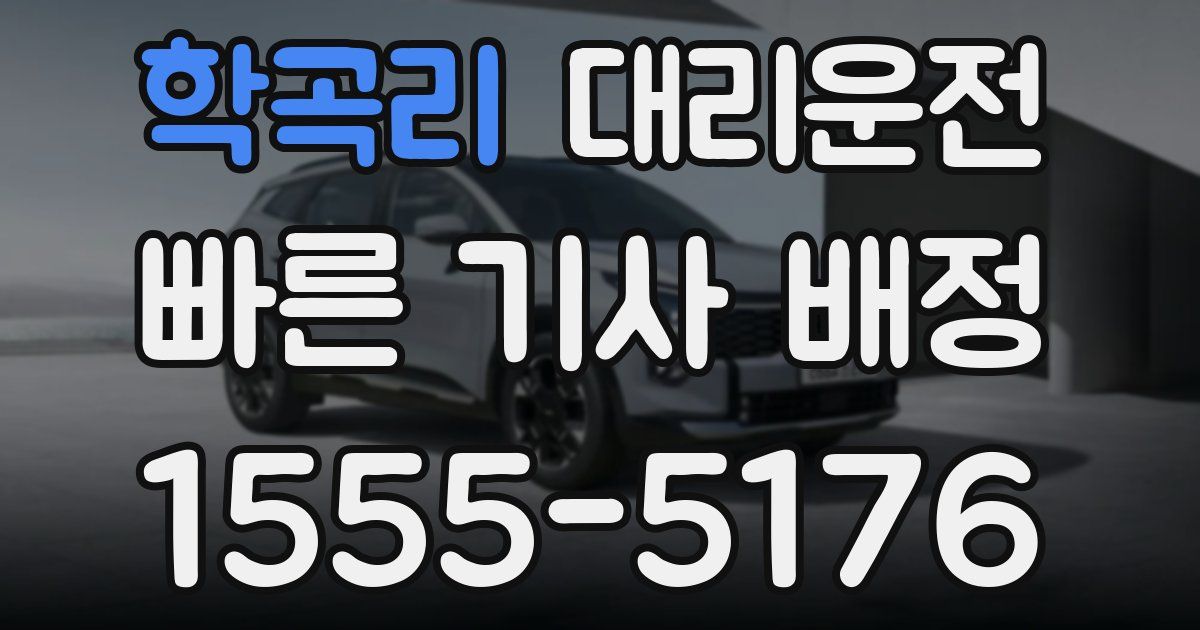 일일대리기사