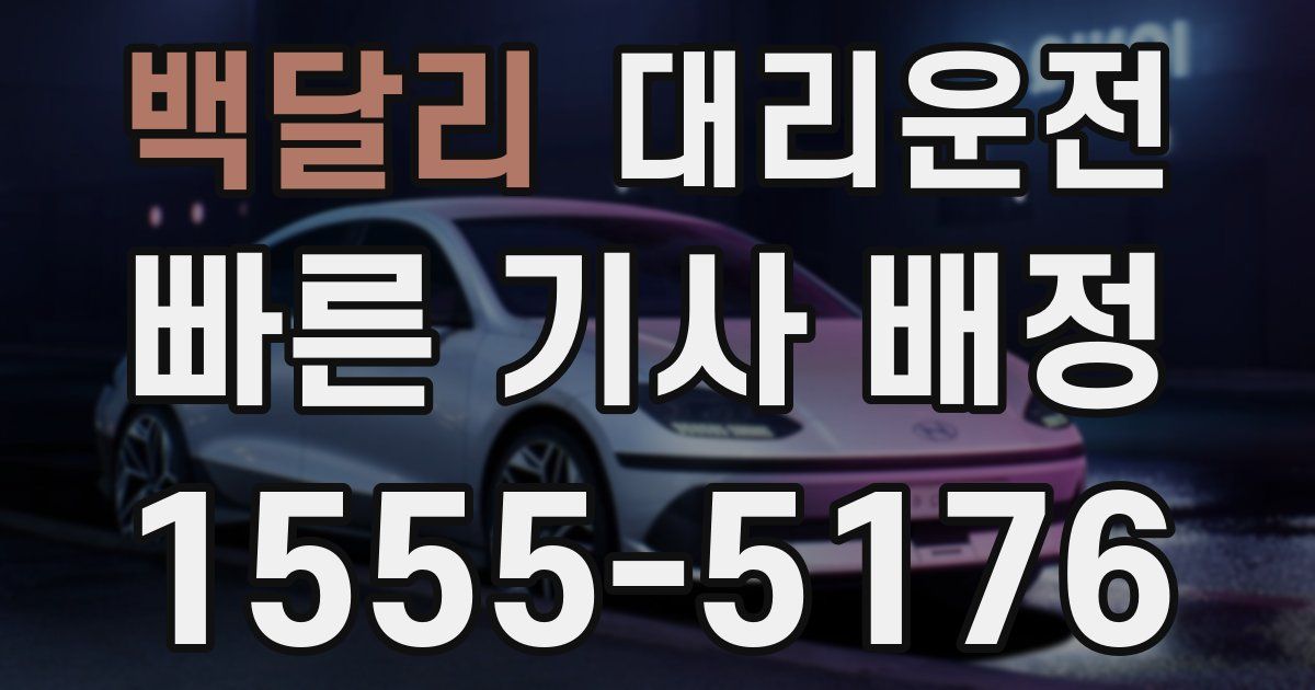 일일대리기사