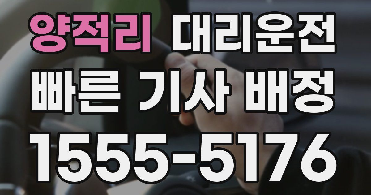 일일대리기사