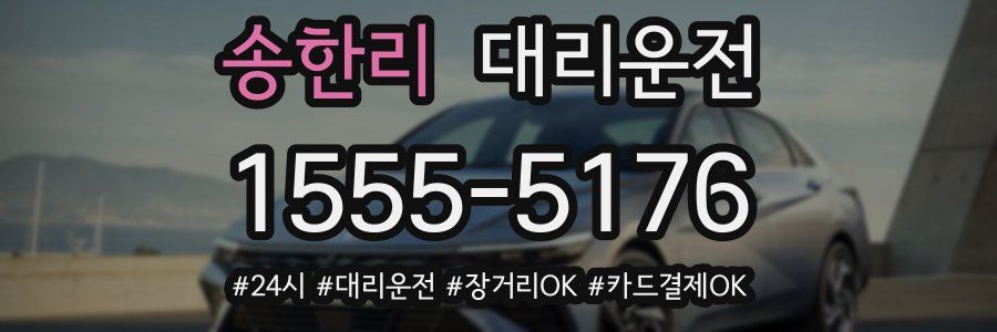 송한리 대리운전