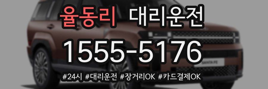 율동리 대리운전